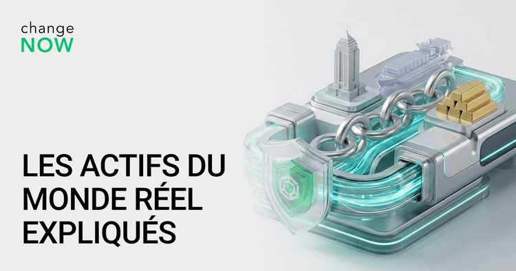 Les Actifs du Monde Réel Expliqués