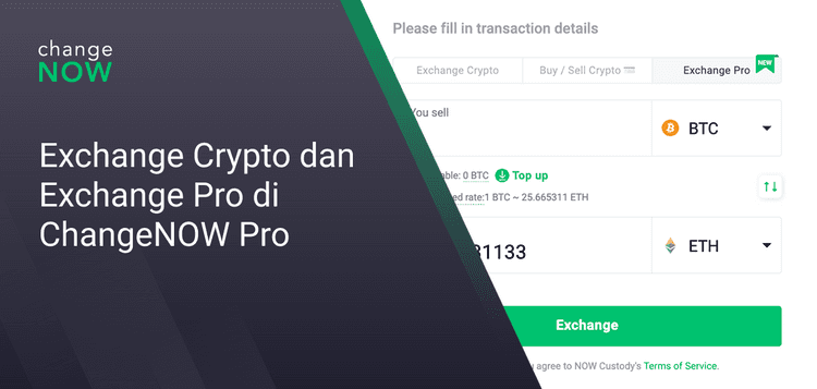 Exchange Crypto dan Exchange Pro di ChangeNOW Pro