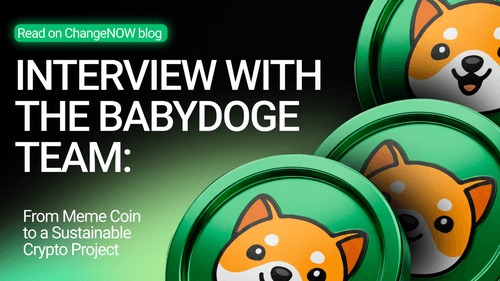 Interview with the BabyDoge Team: From Meme Coin to a Sustainable Crypto Project